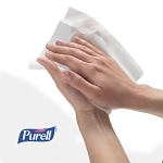 PURELL_9031-06-CAN00_1